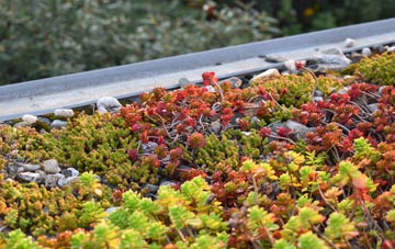the cost of Leek green roof installation