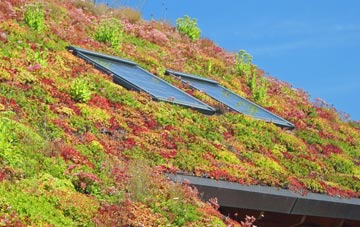 Leek living roof systems