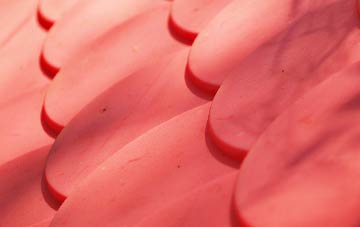 Leek plastic roof costs